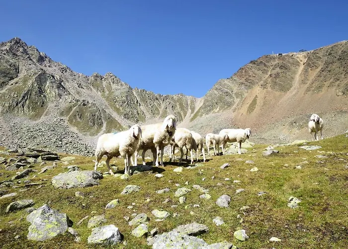 Apartament Birkenheim-2 By Interhome