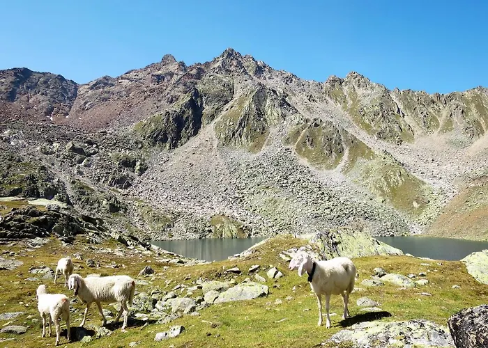 Birkenheim-2 By Interhome Apartament *