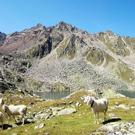 Birkenheim-2 By Interhome アパート *